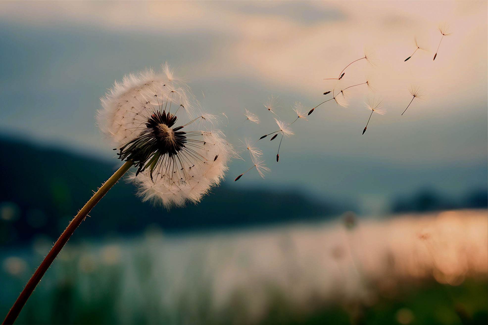 Banner_Test1 Banner_Test1