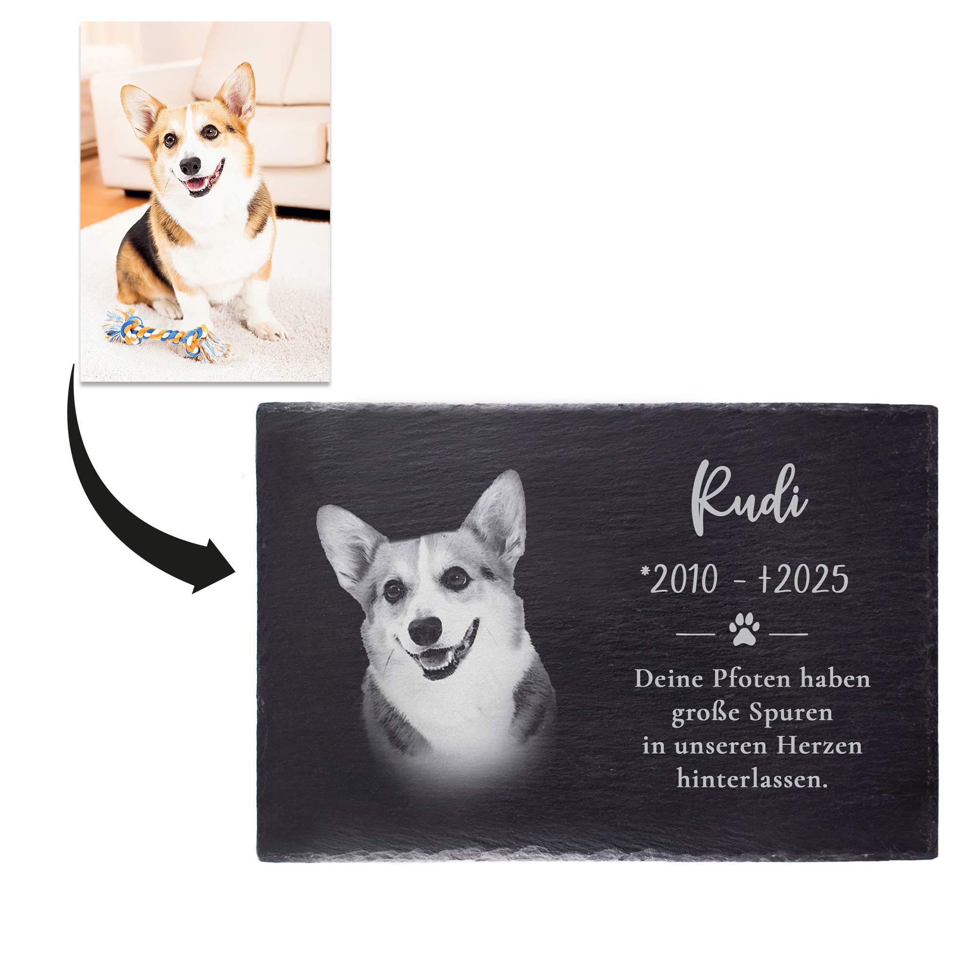 Personalisierte Grabplatte mit Foto - Hund & Katze