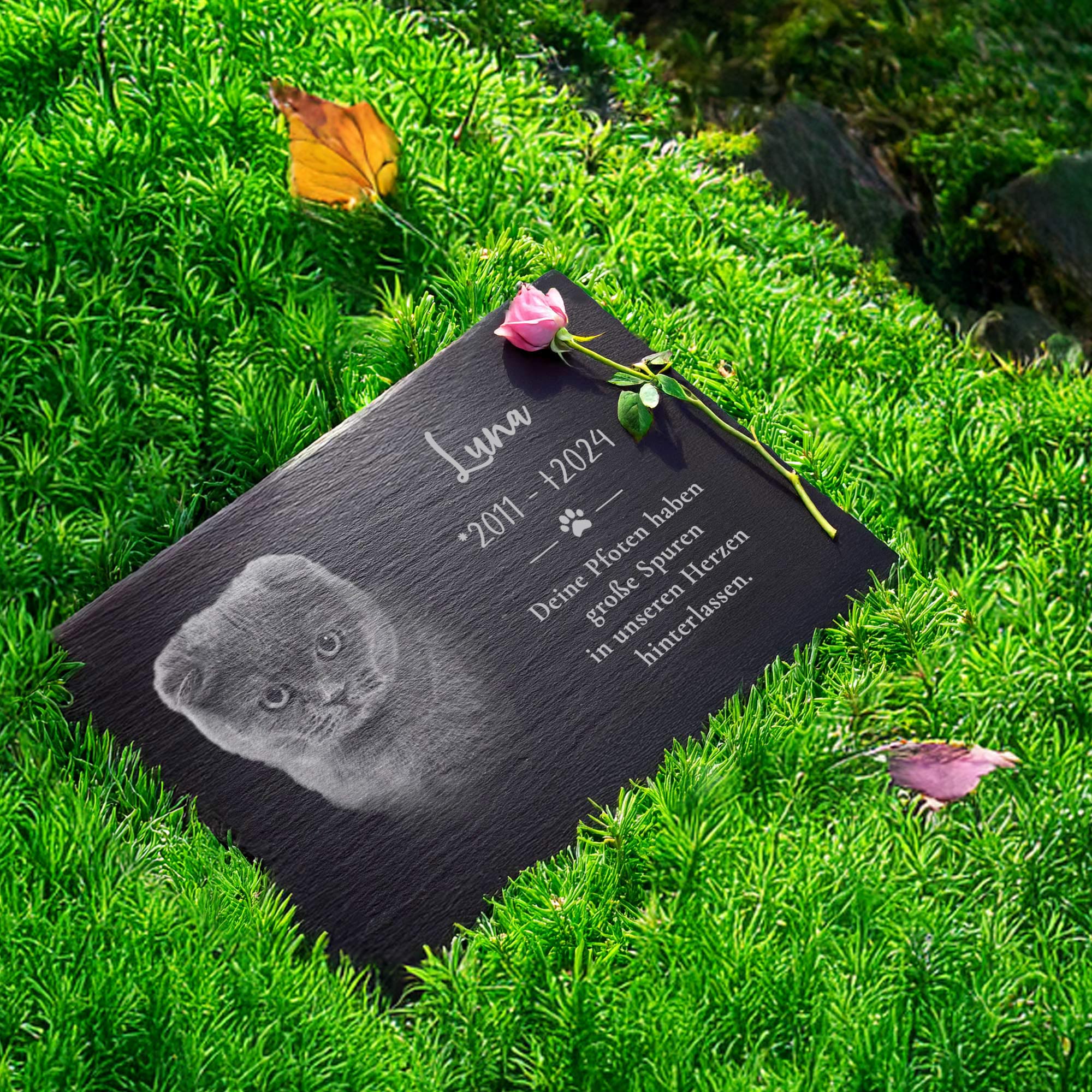 Personalisierte Grabplatte mit Foto - Hund & Katze